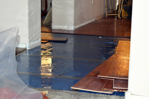 Professional Sewage Cleanup technician working in Elkins, AR